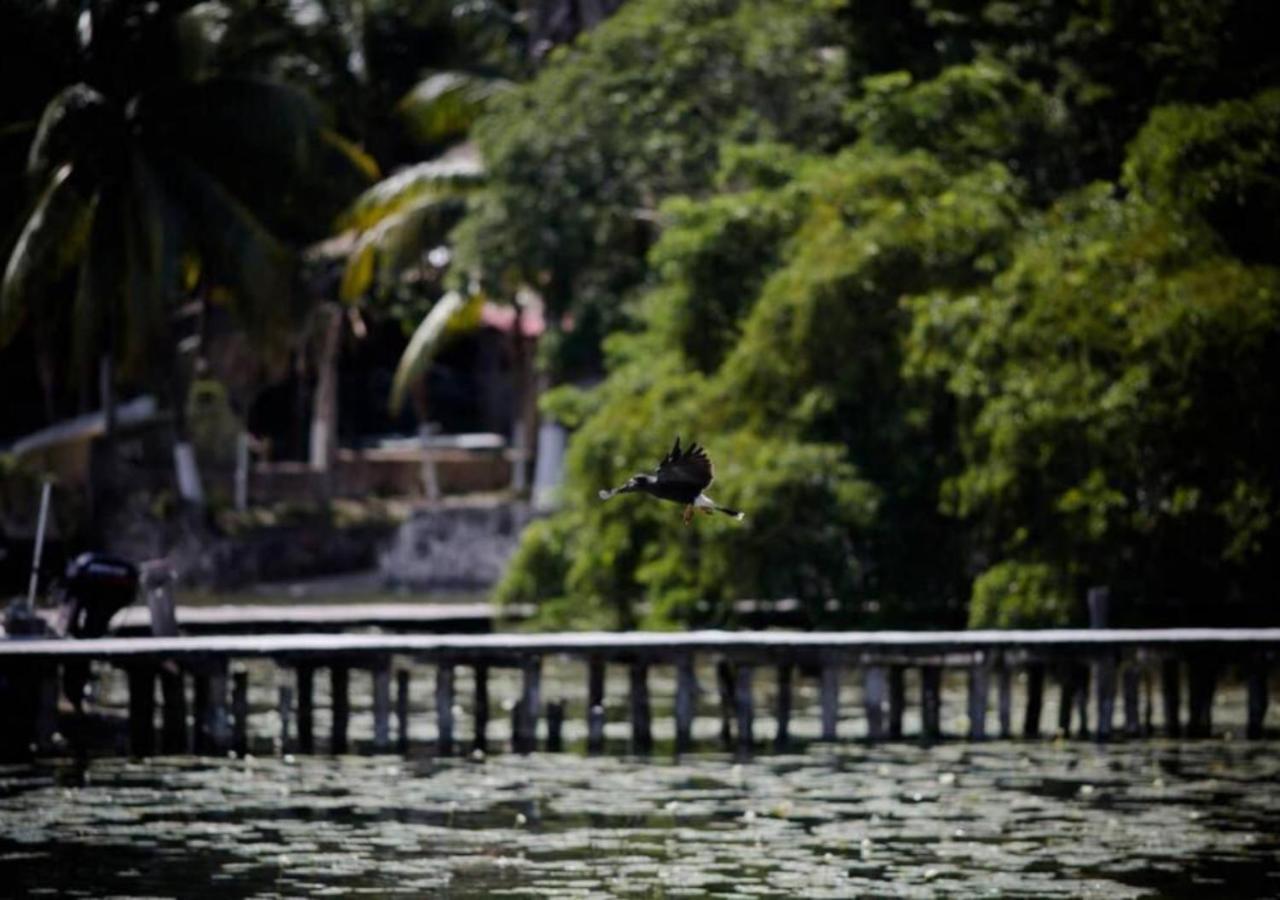 Lagoon Special Suite: Bikes & Kayaks! บากาลาร์ ภายนอก รูปภาพ